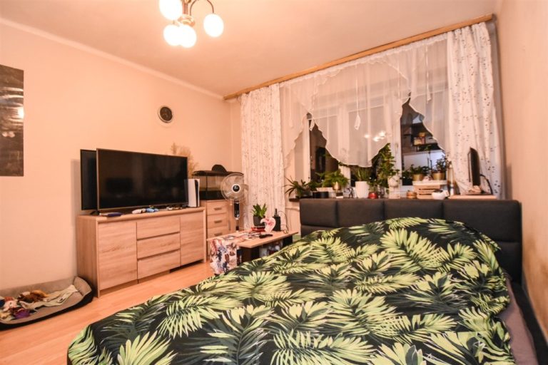 Kawalerka dla Ciebie | Alejki