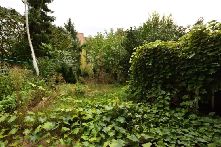 Mieszkanie na sprzedaż – 50 m², 2 pokoje